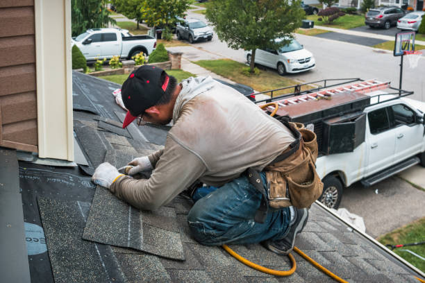 Professional Gutter Repair And Installation technician working in Rock Rapids, IA